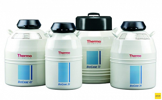 Криохранилище 20,5 л, 150 образцов, d горла 51 мм, Bio-Cane 20, Thermo FS