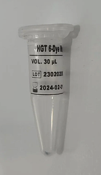 Матричный стандарт для фрагментного анализа HGT 6-Dye Matrix Standard (Plus), 30 мкл, ГТЗ