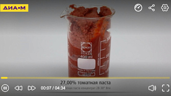 Использование magic PLANT для изготовления кетчупа, IKA, русс., 2019 г.