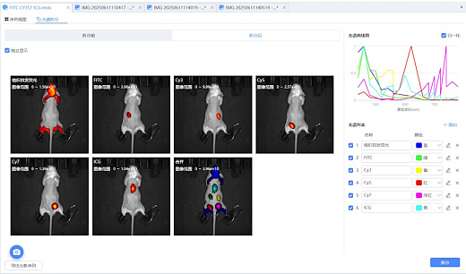 Примеры визуализаций животных in vivo