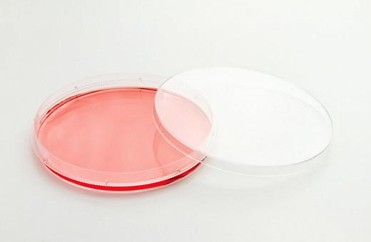 Чашки культуральные, d 150, поверхность Nunclon Delta, вент.крышка, стер., EasYDish, 80 шт./уп.