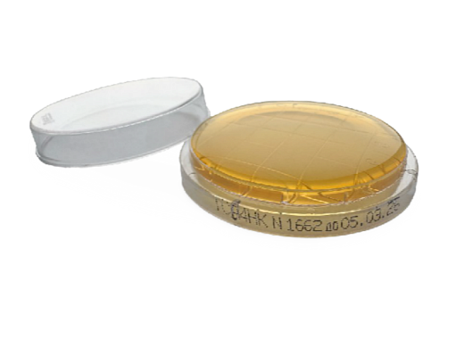 Контактные чашки Петри 55 мм с агаром Сабуро с лецитином, гистидином и тиосульфатом натрия, тройная упаковка, Tween 80, Россия