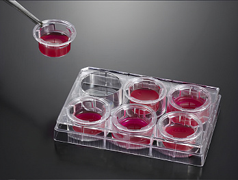Наполненный планшет культуральный со вставками, Jet Biofil, Китай