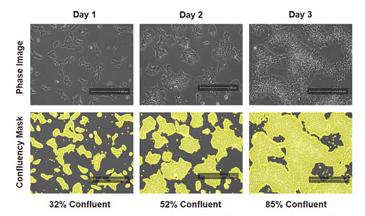 Измерение плотности клеточной культуры в режиме реального времени