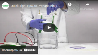Как приготовить готовый гель Mini-Protean, Bio-Rad, англ., 2021 г.