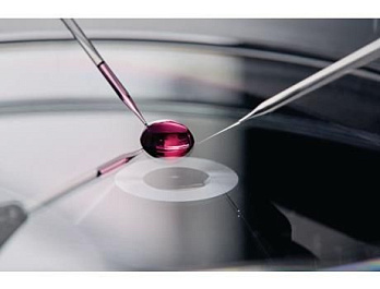 Капилляры Biopsy Tip I, для лазерной биопсии клеток и органелл, угол наклона 35°, d внутренний 19 мкм, 25 шт./уп.