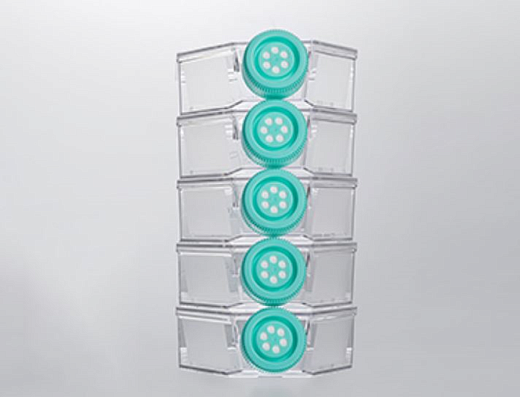 Флаконы культуральные 182 см², вентилируемая крышка, обработанная поверхность (CellDETACH), полистирол, стерильные,  Jet Biofil, Китай