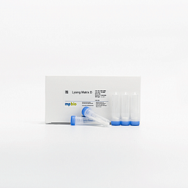 Набор для выделения белков из микроорганизмов FastProtein Blue Matrix