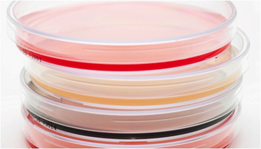 Чашки Петри 90 мм с колумбийским агаром, γ- облученные, тройная упаковка, TM Media