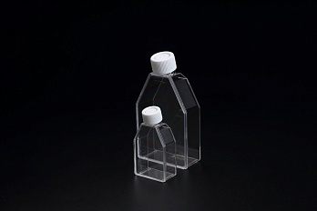 Флаконы культуральные 25 см², 3D, с низкой адгезией, Cell Floater, 5 уп. по 10 шт., SPL