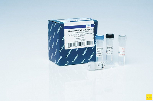 Набор QuantiTect Virus Kit, Qiagen