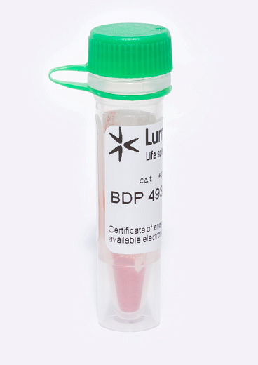 Краситель для липидов и гидрофобных сред BDP 493/503, Lumiprobe