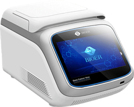 ДНК-амплификатор GeneExplorer GE-96G, градиентный реакционный блок 96×0,2 мл, Bioer