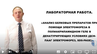 Видео про анализ белков при помощи SDS-ПААГ от ФГБОУ ВО «Вятский государственный университет», русс., 2015 г.