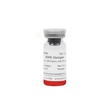 G4130-5ML  Матрикс экстрацеллюлярный Swe Matrigel, для ангиогенеза, инвазии и опухолеобразования, с феноловым красным, 5 мл, Servicebio