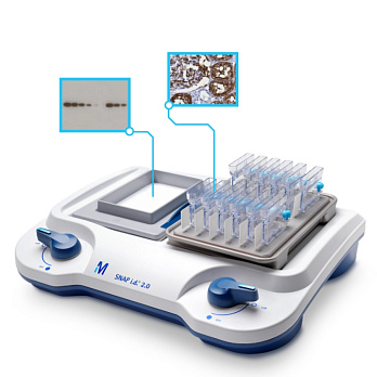Рамки для блот-холдеров мини SNAPi.d.2.0, 1 шт./уп., Merck (Millipore, Sigma-Aldrich, Supelco)