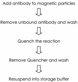 Набор для конъюгации антител с магнитными частицами Magnetic Conjugation Kit