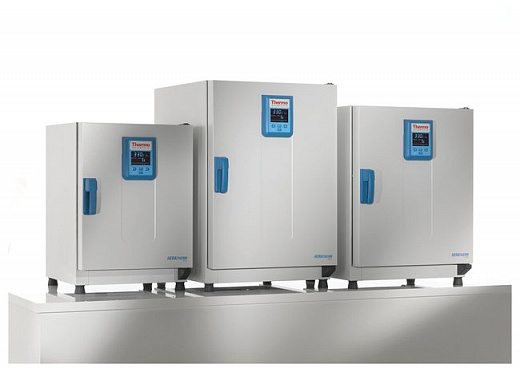 Сухожаровой шкаф 97 л, до +330 °С, принудительная вентиляция, OMH100, Thermo FS