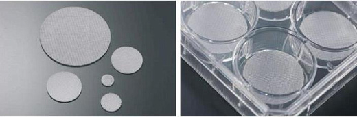Планшеты культуральные 24-ти луночные со скаффолдом для 3D культивирования, 3DCellSCAFLD 1 уп./8 шт., Jet Biofil