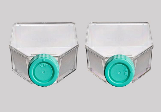 Флаконы культуральные 182 см², глухая крышка, обработанная поверхность (CellDETACH), полистирол, стерильные,  Jet Biofil, Китай