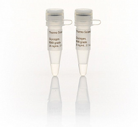 Гликоген, для работы с РНК и ДНК