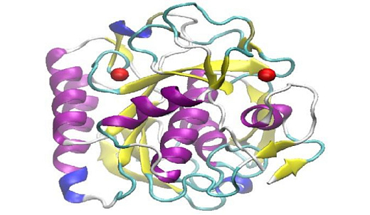 Протеиназа К для молекулярной биологии, рекомбинантная, лиофилизированная форма, 30 ед/мг, CAS 39450-01-6, Диаэм