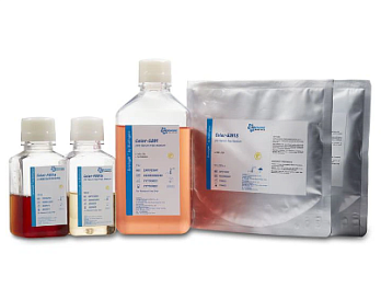 Бессывороточные среды для HEK293, Bioengine, Китай