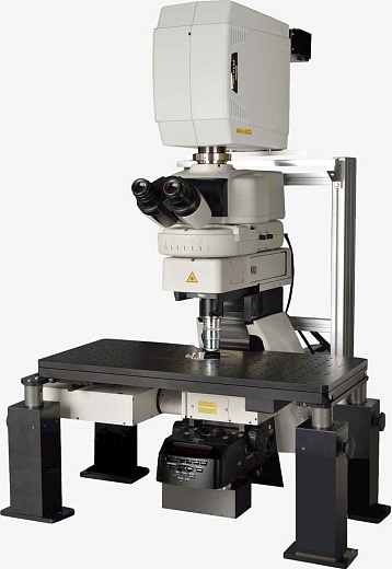 Микроскоп Eclipse Ni-E, прямой, СП, ТП, ФК, флуоресценция, чувствительная цветовая и простая поляризация, ДИК, 10x/22, 10x/25, 12,5x/16 и 15х/14,5