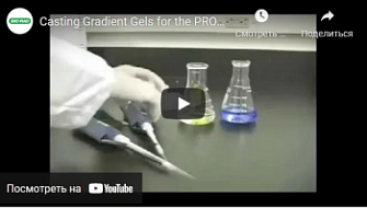 Заливка  градиентных гелей для Protean II XL Cell, Bio-Rad, англ., 2012 г.