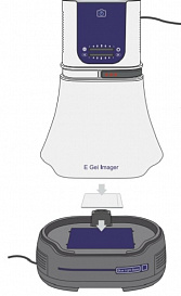 Гельдокументирующая система E-Gel Imager, 1,3 Мп, основание с синим светом 470 нм, универсальный фильтр