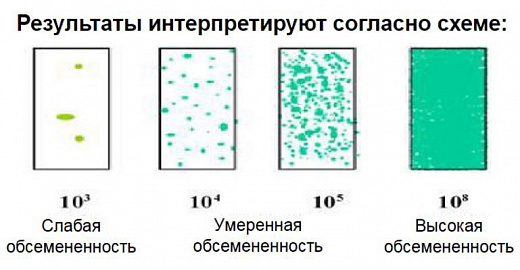 Микробиологические экспресс-тесты для определения КМАФАнМ (ОМЧ) и БГКП (с нейтрализатором дезсредств), двухсторонние, Dip-Slides, 10 шт/уп Фото 2