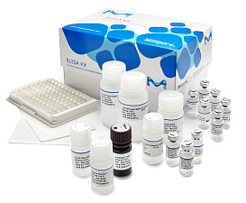 Набор Human Neuropeptide Y (NPY) ELISA