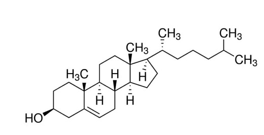 Холестерин