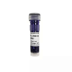 Буфер 2×SDS-PAGE loading buffer (inodorous, reduced form),