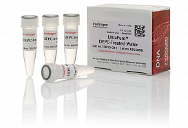 Вода UltraPure DEPC-treated Water