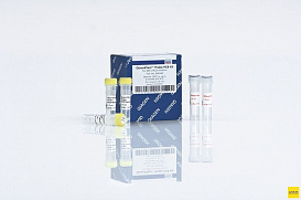 QuantiTect Probe PCR Kit