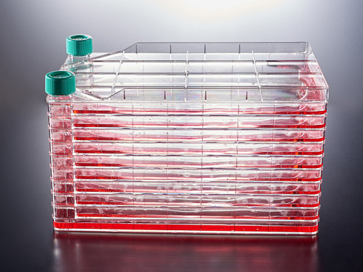 Флакон культуральный, 1 слой, 656 см2, раб. объём 130-200 мл, вентиляц. крышка, необработ. поверхн, Jet Biofil, Китай