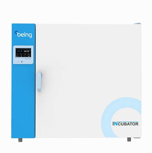 Термостат, до +80 °С, 253 л, камера из нержавеющей стали, LCD контроллер, принудительная вентиляция, Being, Китай