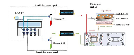 Система перфузии iFlow Organ-on-a-Chip, проточная конфигурация (схема)