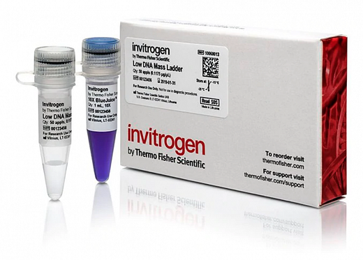 Маркер длин ДНК Low DNA Mass от 100 п.н. до 2000 п.н., 0,1175 мкг/мкл Фото 2