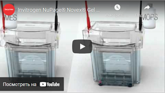Готовые гели NuPage Novex, Thermo FS , англ., 2011 г.