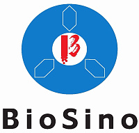 BioSino, Китай