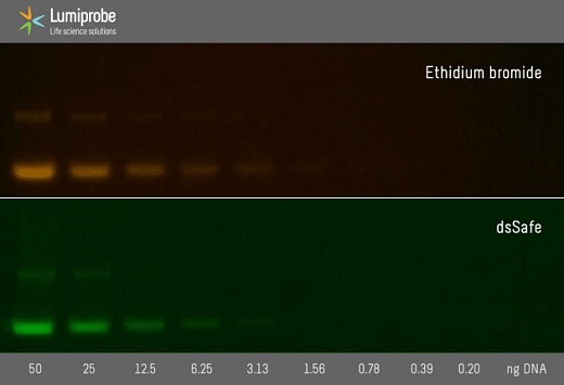 Краситель dsSafe раствор для окрашивания нуклеиновых кислот в геле, 10 000×, 500 мкл, Lumiprobe