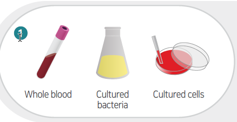 Объекты выделения в синтезаторе белков ExiProgen, кровь, бактерии, плазма Объекты выделения в синтезаторе белков ExiProgen, кровь, бактерии, плазма