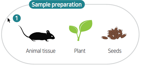 Объекты выделения в синтезаторе белков ExiProgen животные, растения, семена Объекты выделения в синтезаторе белков ExiProgen животные, растения, семена