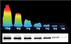 Повышение качества изображения Повышение качества изображения в ПО Bio-Vision