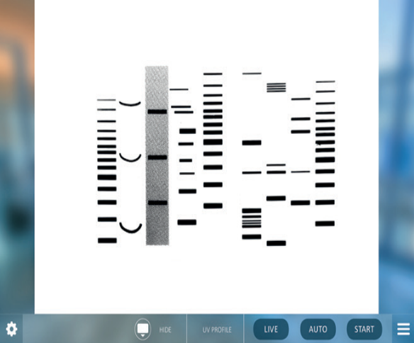 ПО для гельдокументирующей системы E-Box, Vilber Lourmat ПО для гельдокументирующей системы E-Box, Vilber Lourmat