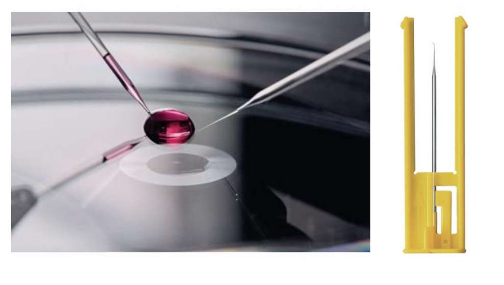 Капилляры (микропипетки) микро Микрокапилляры предназначены для проведения микроманипуляций с клетками и органеллами (инъекции в клетки и пронуклеус, ИКСИ, ИМСИ, ПИКСИ).