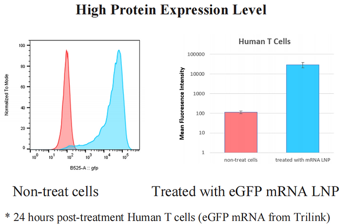 Рис. 2. Эффективность использования набора LipidFlex T cell kit Результат проточной цитометрии, показывающий трансфицированные Т-клетки человека с использованием мРНК eGFP LNP.
