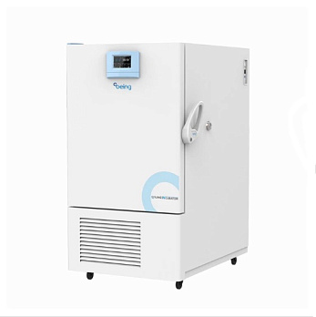 Термостат с охлаждением 68 л, -10 °C до +80 °C, LCD контроллер, принудительная вентиляция, BC-60L, Being